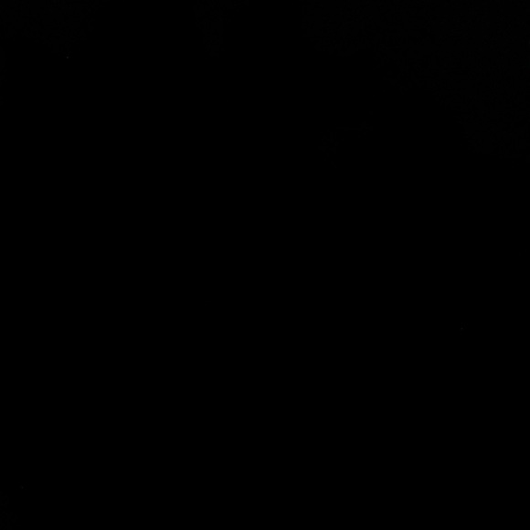 Meet your Posher, Stef! - Picture 1 of 1